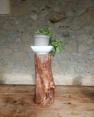 ceppo in legno d'ulivo 