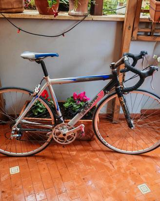 Bici da corsa Eleven (grigio/nero/blu)