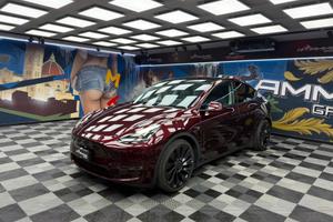 Tesla Model Y AWD Performance (945)