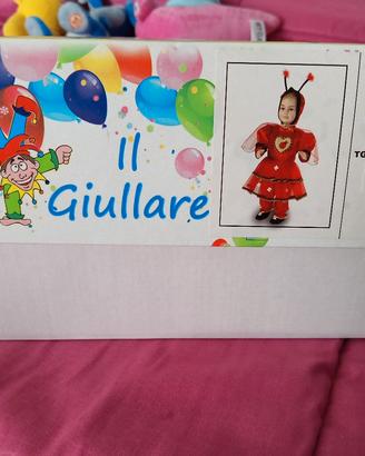 Vestito carnevale Coccinella