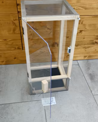 Teca insetti stecco 25x25x50cm