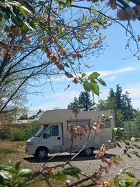 Camper mansardato Granduca Pegaso 56 