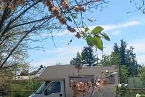 Camper mansardato Granduca Pegaso 56 