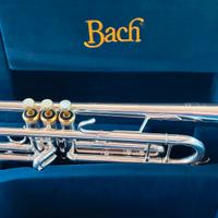 tromba Bach 37 