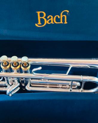 tromba Bach 37 