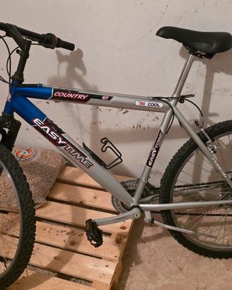 bicicletta Mountain bike 
