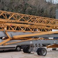 Gru edile potein igo 42