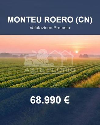 Immobile in asta di 30961 m² a Monteu Roero