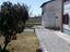 Immagine 15