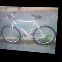 Bici Mountain bike Legnano 26