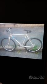 Bici Mountain bike Legnano 26