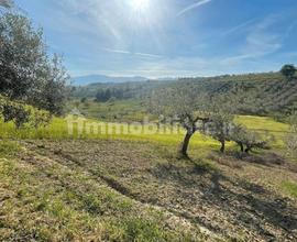 Terreno edificabile e agricolo