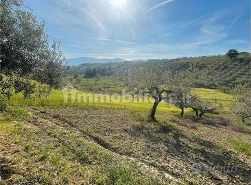 Terreno edificabile e agricolo
