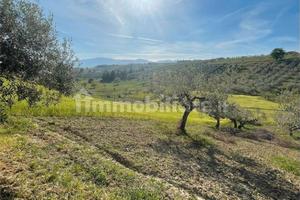 Terreno edificabile e agricolo