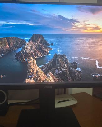 monitor
