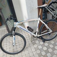 MTB uomo bottecchia xl