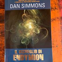 Dan Simmons - Il risveglio di Endymion