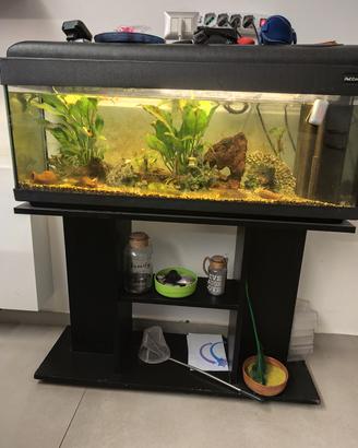 acquario 