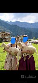 Caprette saanen (non ho piu spazio)