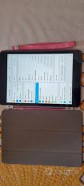 2 I-pad Mini anno 2012
