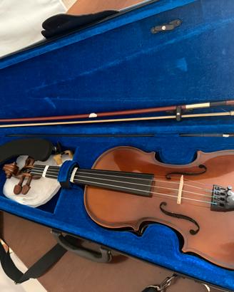 Violino
