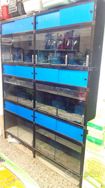 Espositore per Pesci