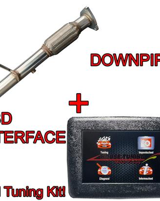 Downpipe e Centralina LR Freelander 2.2 160 190C L