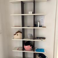 Libreria di design bianca e testa di moro