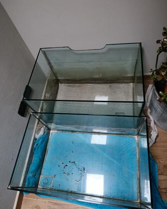  2 acquario 80x50x 30/50