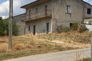 Terreno casa e stalla per allevamenti