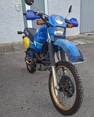 Yamaha XT 600 Ténéré – Uniproprietario – Sempre in