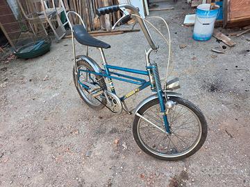 Bicicletta HD 2000