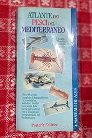 Atlante dei Pesci del Mediterraneo