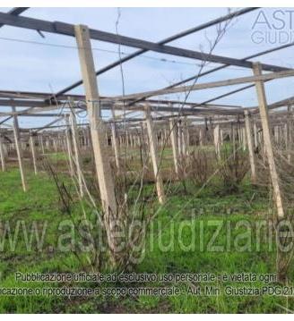 Terreno Agricolo Vittoria [A4348687]
