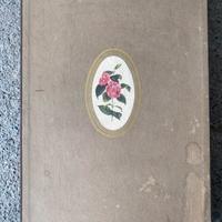 “Il Giardino delle Camelie” tavole acquarello