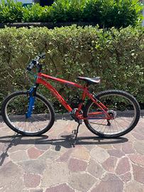 Mountain bike