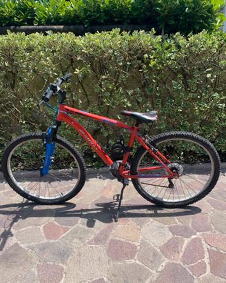 Mountain bike