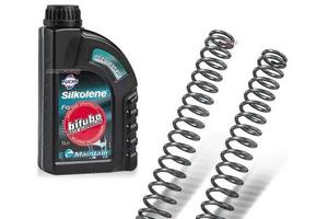 KIT MOLLE BITUBO CON OLIO PIAGGIO X9 200 EVOLUTION