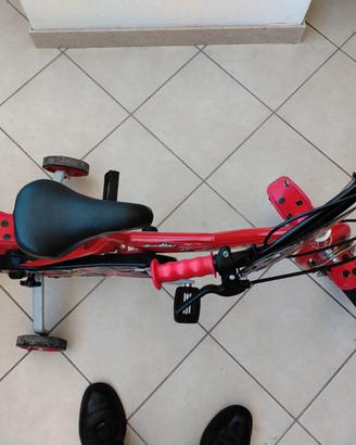 Biciclettata lady bug