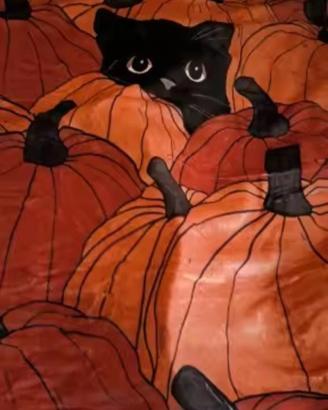 coperta plaid halloween 