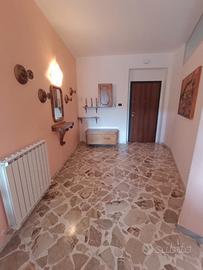 Ampio tricamere a san giovanni in fiore