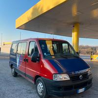 Fiat ducato Panorama - Pulmino 9 posti