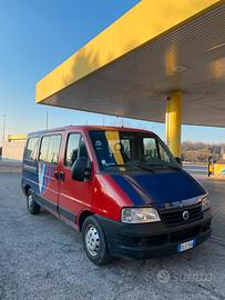 Fiat ducato Panorama - Pulmino 9 posti