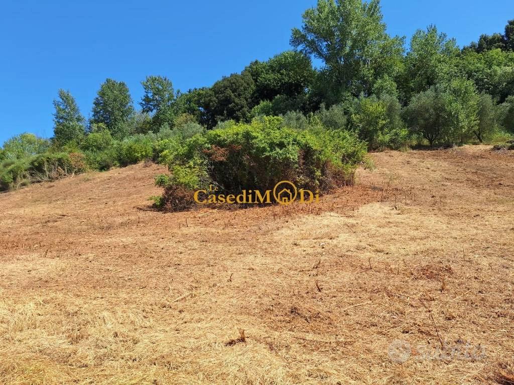 Terreno di 8000 m² a Fauglia - Vista 3