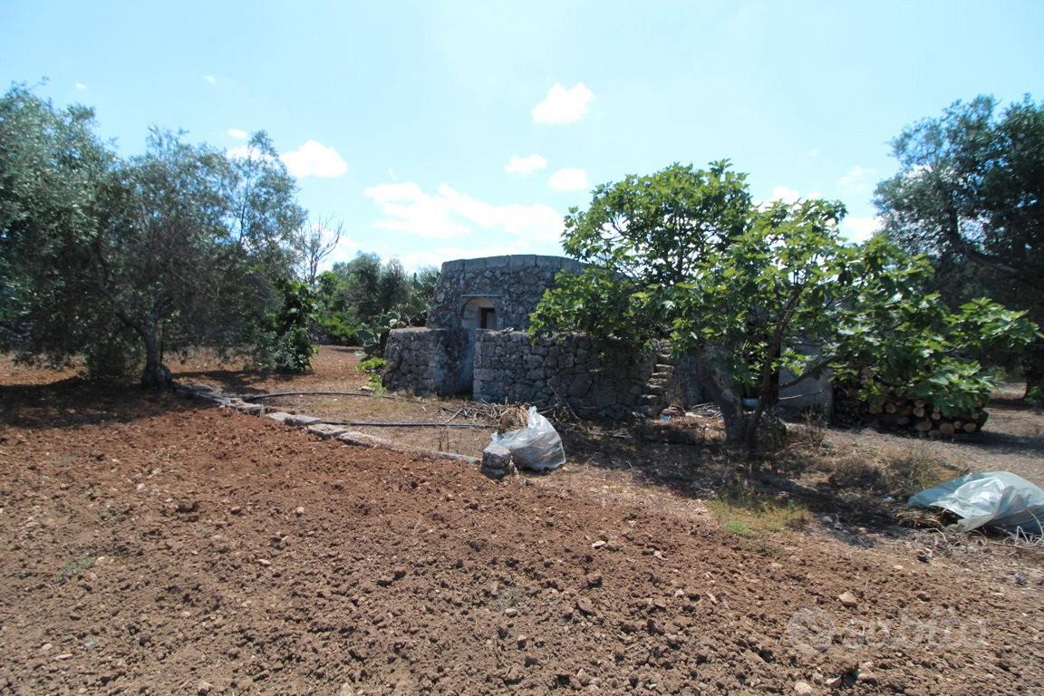Terreno con trullo c.da Neviera San Marzano di S.G - Vista 5