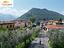 Immagine 12