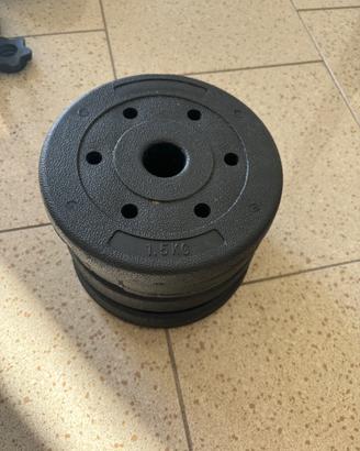 Pesi 6 kg per manubri