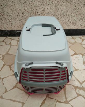 Trasportino per gattino