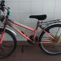 Bicicletta Silver Star Ragazzo