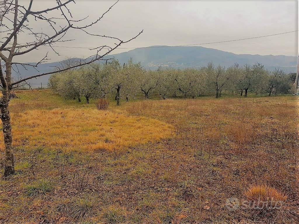 Terreno di 3000 m² a Lucca - Vista 3